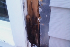 rot-repair-window